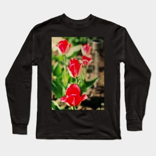 Red Greigii tulips Long Sleeve T-Shirt